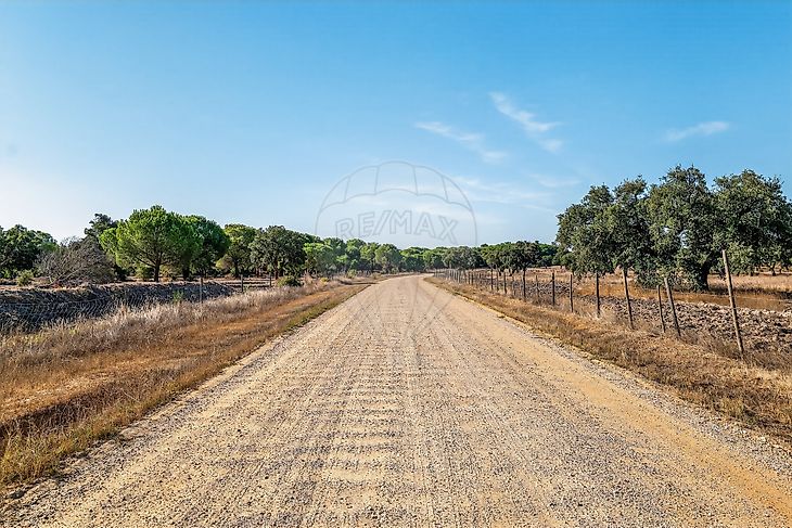 Terreno em Benavente com 20 500 m²
